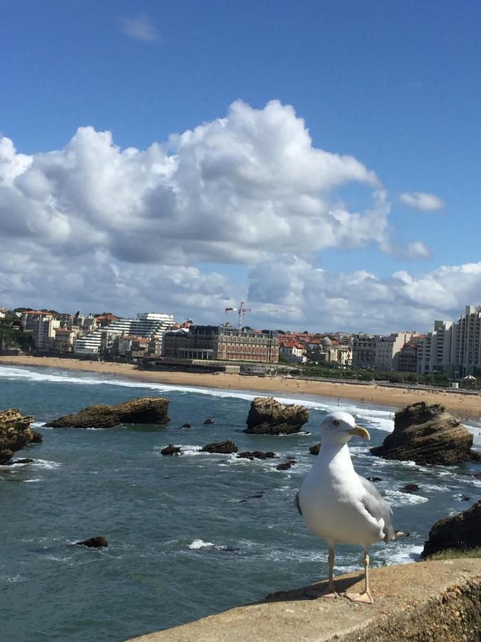Charmant T2 Biarritz Centre Exteriör bild