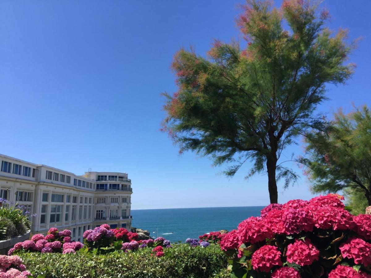 Charmant T2 Biarritz Centre Exteriör bild